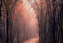 沙尔克迎来转折点：主教练施压激活低迷队员，共谋未来崭新辉煌