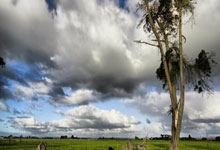 国际女足赛场：耀眼球员的精彩表现引领风潮