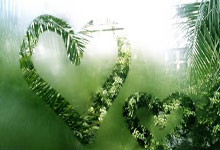 布莱顿客场逼平强敌，稳固积分榜上的黄金位置