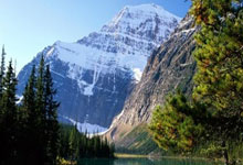 国际女足赛场：耀眼球员的精彩表现引领风潮