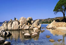 勇士外线火力全开，横扫对手取胜——篮球精神的极致展现